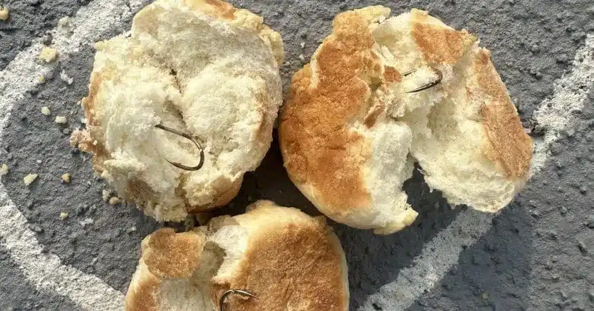 60-Year-Old Charged for Throwing Fishing Hook Bread at Dog Park 60-Year-Old Charged for Throwing Fishing Hook Bread at Dog Park