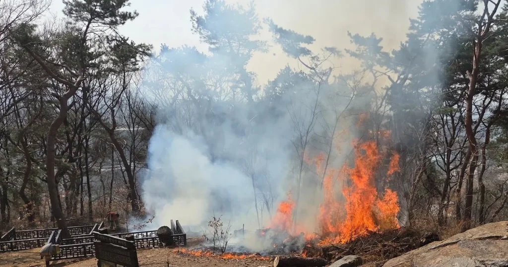 Suspect Arrested for 7 Fires at UNESCO Suwon Hwaseong Fortress Suspect Arrested for 7 Fires at UNESCO Suwon Hwaseong Fortress