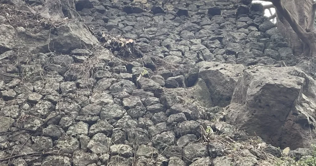Historic Jeju Castle Dig Uncovers Original Joseon-Era Walls
