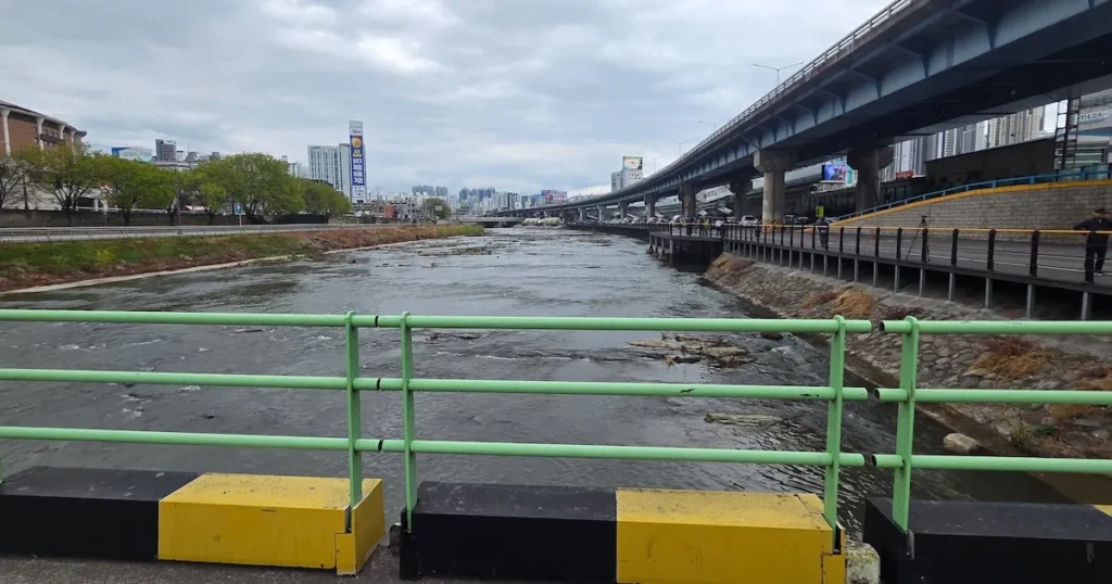 Daegu Suitcase Horror: 50 Women’s Bodies Found, Suspects Arrested