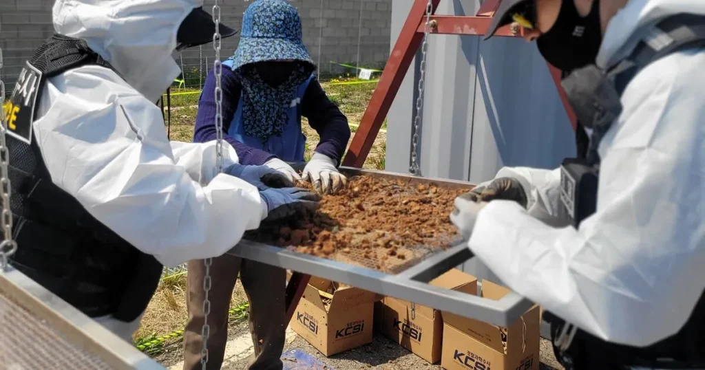 Muan Crash Re-Search Uncovers 117 Presumed Remains in 3 Days