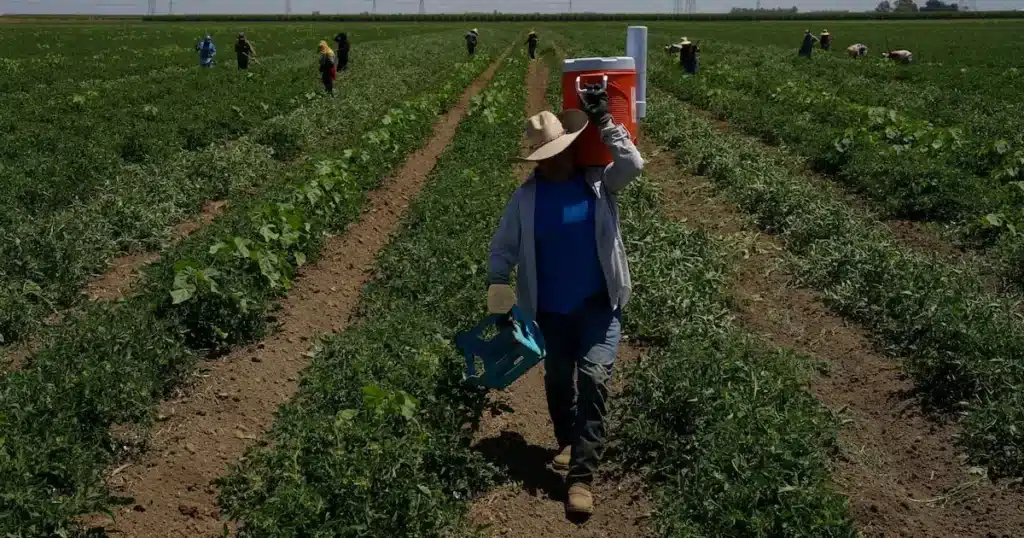 Hormuz Tensions Spike Costs, Hit California Workers Hard