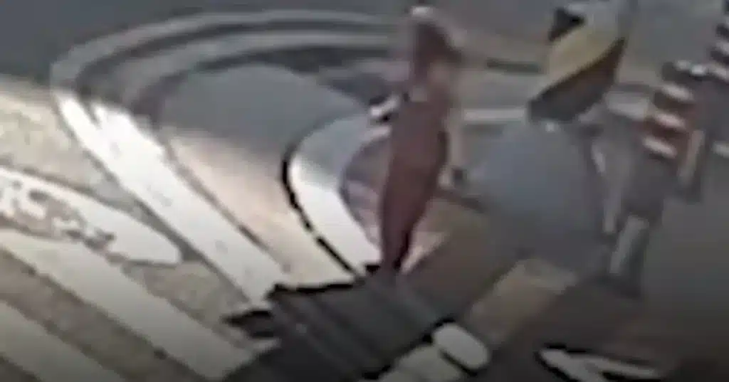 Scent Dog Tracks Gunshot-Injured Fugitives to Hideout in Jinhae