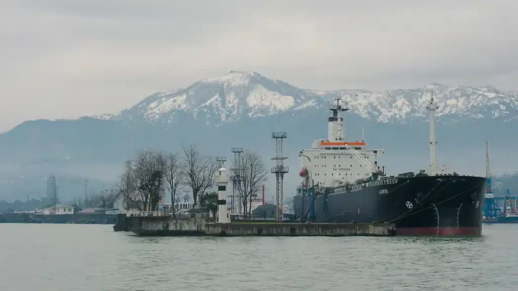 Bosporus Choke Point Echoes Hormuz Risks at Sarpi Border