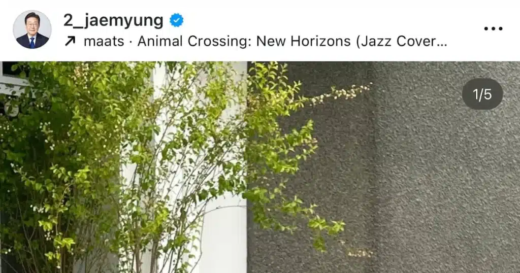 Lee Jae-myung’s Pet Dog Barbie Wears Prabowo’s Gifted Outfit