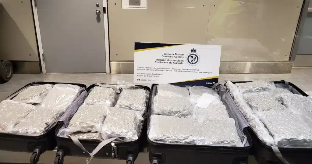 Police Bust 14 Korean Nationals Smuggling Marijuana via Taiwan