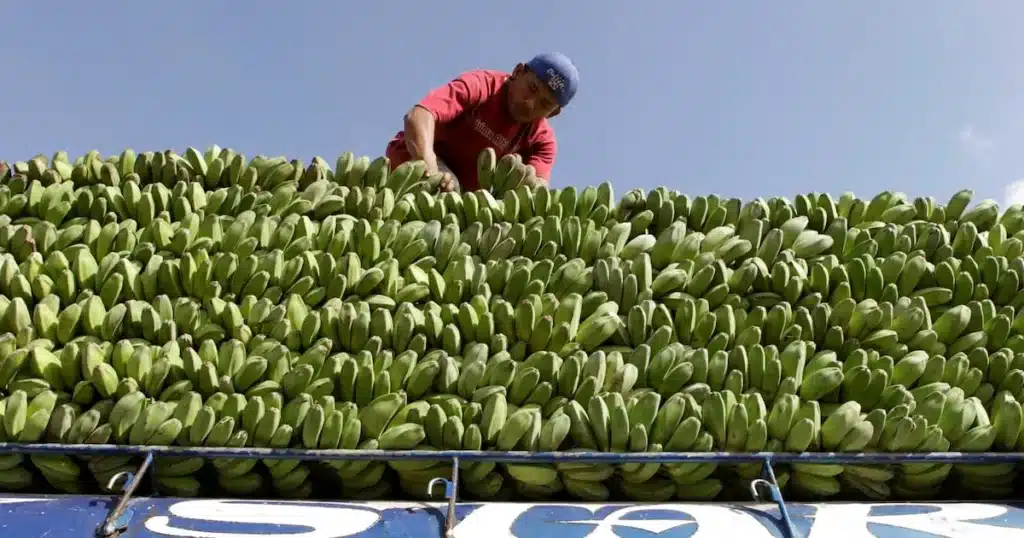 Global Food Supply Chains Strained by Geopolitical Tensions Global Food Supply Chains Strained by Geopolitical Tensions