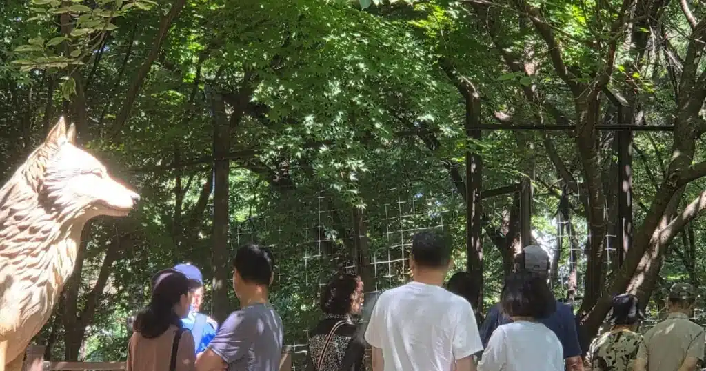 Daejeon Zoo Reopens to Crowds After Evacuation
