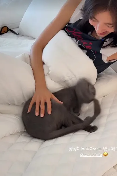 Son Dam-bi Addresses Pet Abandonment Rumors with New Video Son Dam-bi Addresses Pet Abandonment Rumors with New Video