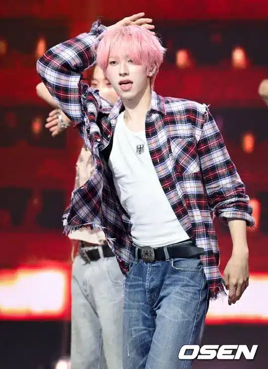 Identy’s Park Nuri Shines with Pink Hair at Show Champion Identy’s Park Nuri Shines with Pink Hair at Show Champion