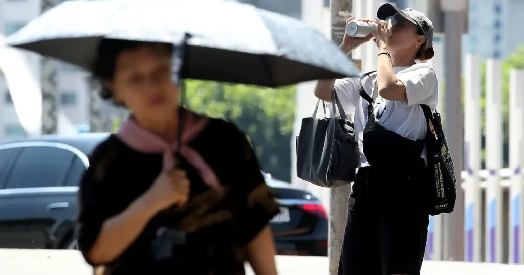 Seoul Heatstroke Cases Rise: 348 Recorded in 3 Months Seoul Heatstroke Cases Rise: 348 Recorded in 3 Months