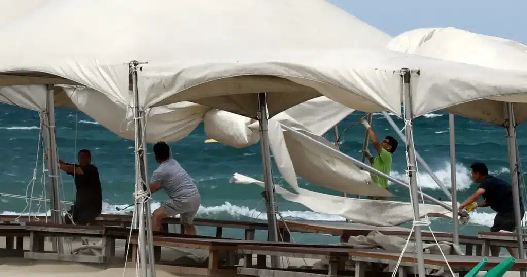 Typhoon Crovan’s Indirect Impact: Jeju Endures Strong Winds, Minor Damage
