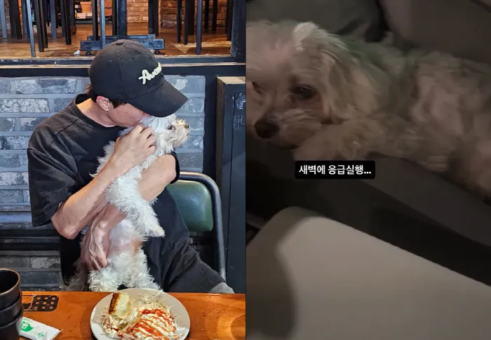 Comedian Park Sung-kwang’s Dog, Gwangbok, Rushed to ER Amid Worsening Heart Condition Comedian Park Sung-kwang’s Dog, Gwangbok, Rushed to ER Amid Worsening Heart Condition