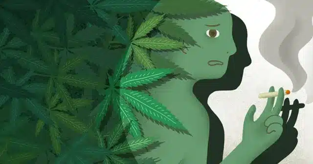 New Synthetic Marijuana Precursors Discovered in South Korea New Synthetic Marijuana Precursors Discovered in South Korea